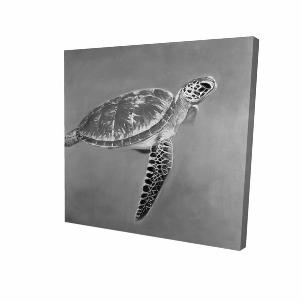 Fondo 12 x 12 in. Greyscale Aquatic Turtle-Print on Canvas FO2772214